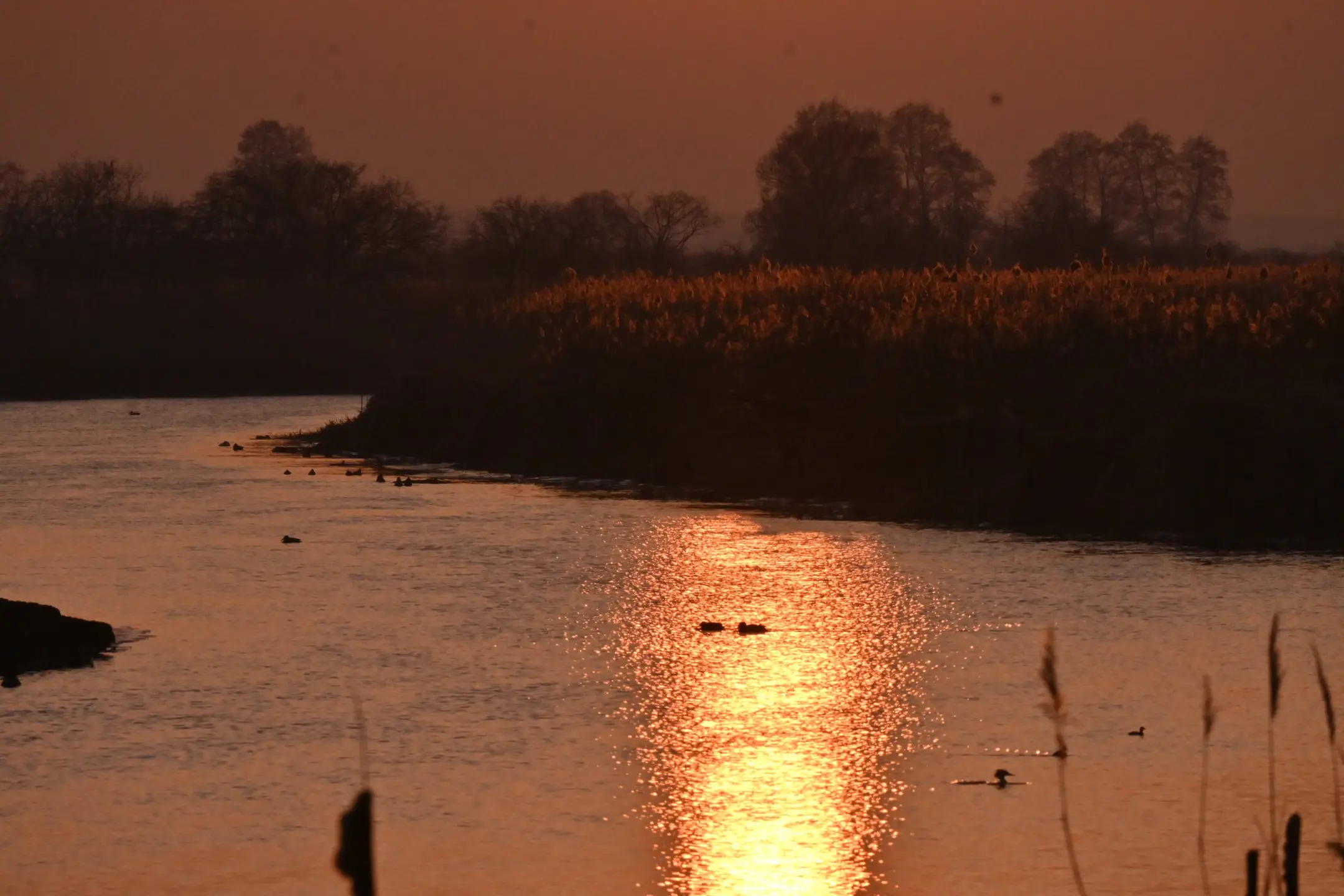 341d4645f4036db08f8096fd4c9beffc_0