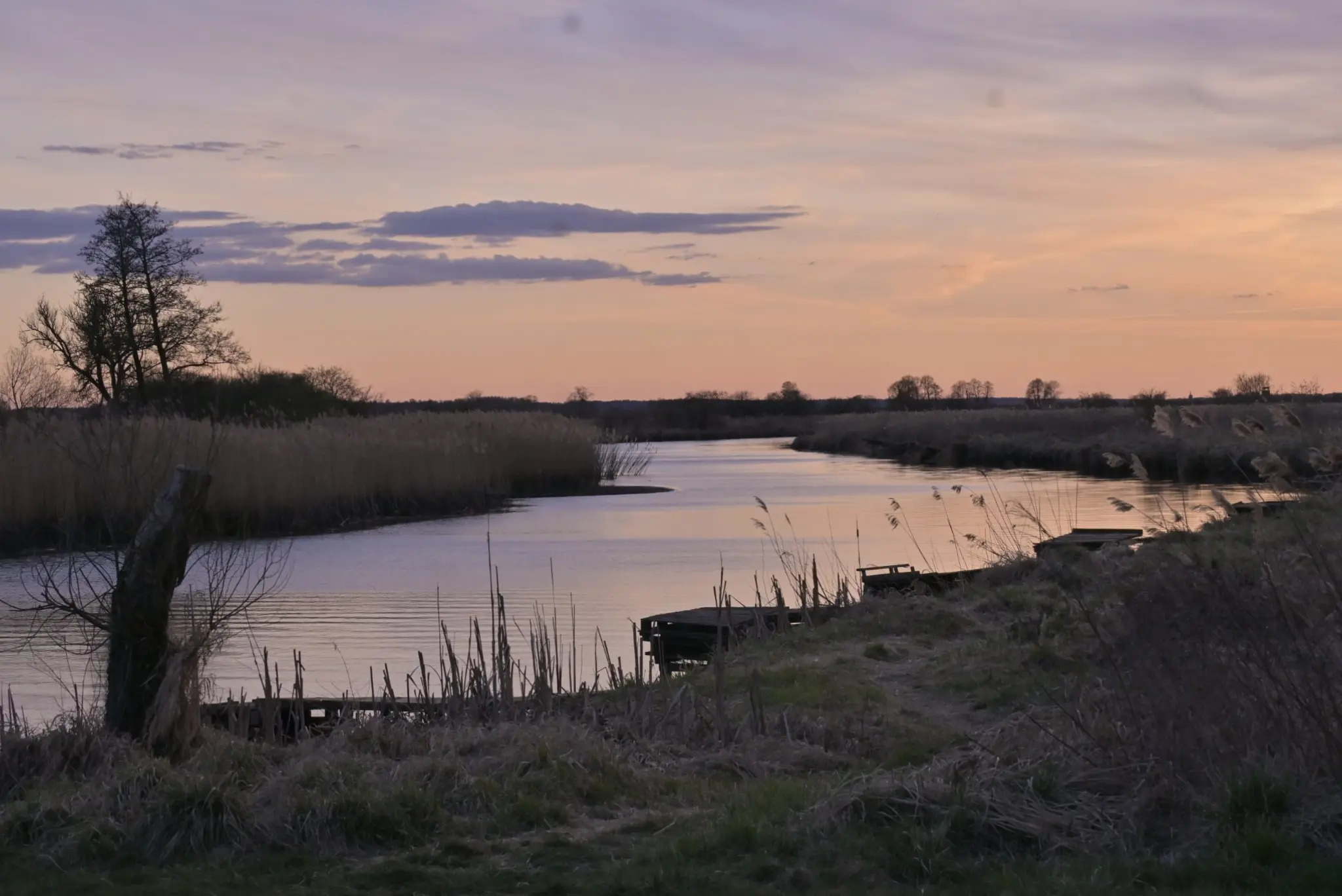 ff5d13f8101ae55a754025af8e2655f6_0