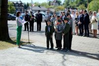 batch_IMG_1195