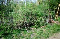 batch_IMG_1433