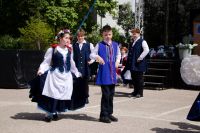 batch_IMG_1617