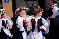 batch_IMG_1668