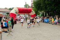 batch_IMG_3386