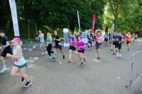 batch_IMG_3584