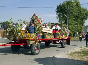 Dożynki w Dobrzyniewie (8)