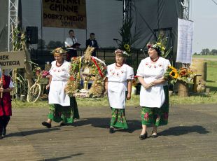 Dożynki w Dobrzyniewie (34)