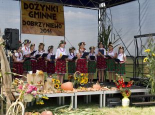 Dożynki w Dobrzyniewie (45)