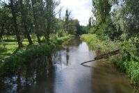 rzeka Łobzonka